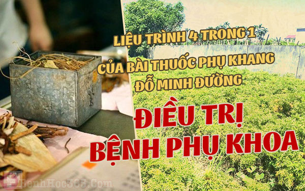 Liệu trình Nam dược "4 trong 1" Phụ khang Đỗ Minh