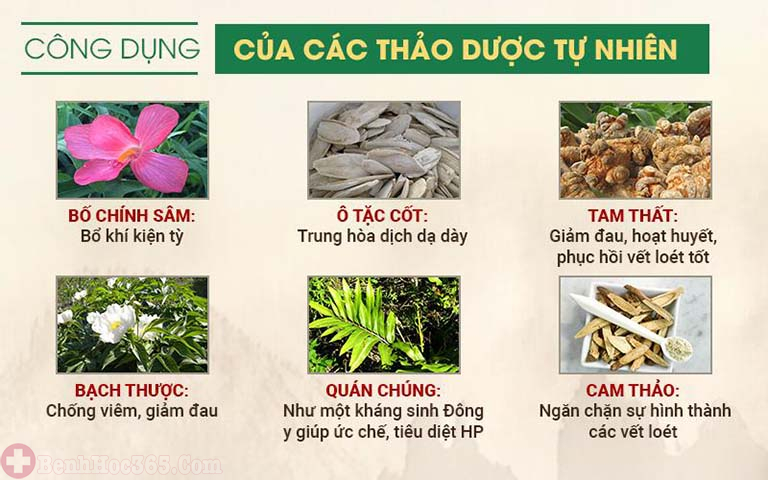 Thành phần thảo dược đặc trị có trong Sơ can Bình vị tán