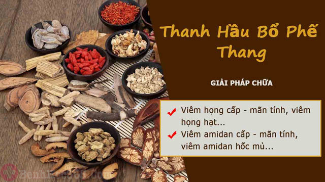 Bài thuốc Thanh hầu bổ phế thang hiệu quả cho cả bệnh viêm họng và viêm amidan