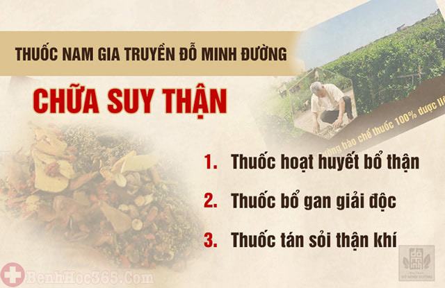 Bác sĩ Nguyễn Tùng Lâm nhà thuốc Đỗ Minh Đường chữa sỏi thận bằng bài thuốc dòng họ Đỗ Minh