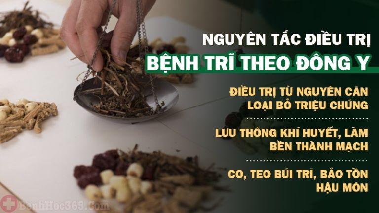 Nguyên lý của Đông y trong điều trị bệnh trĩ