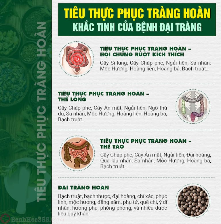 Thành phần thuốc Tiêu thực Phục tràng hoàn