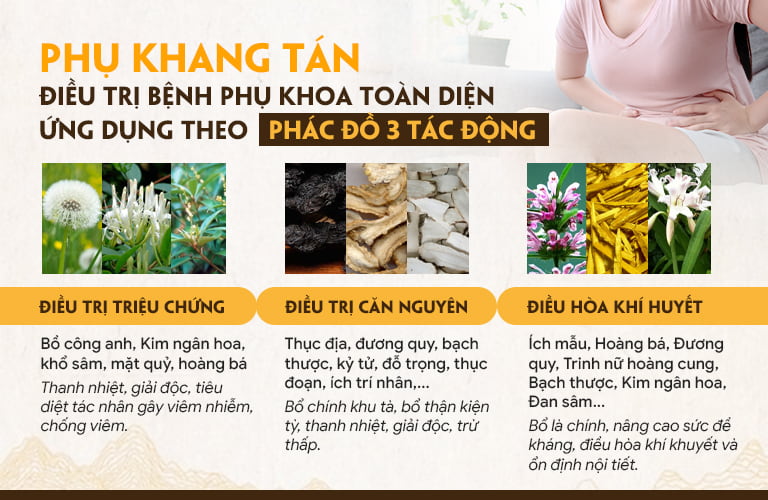 Phác đồ Phụ Khang Tán 3 tác động, hiệu quả toàn diện