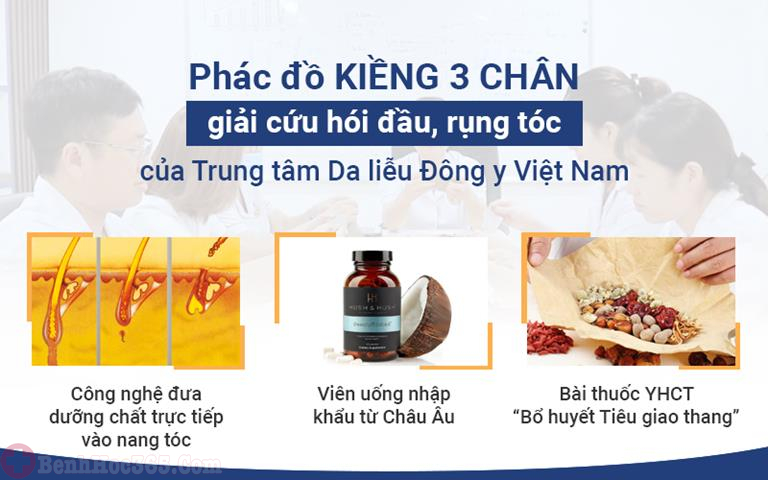 Phác đồ kiềng 3 chân của Trung tâm Da liễu Đông y Việt Nam mang đến giải pháp điều trị rụng tóc toàn diện