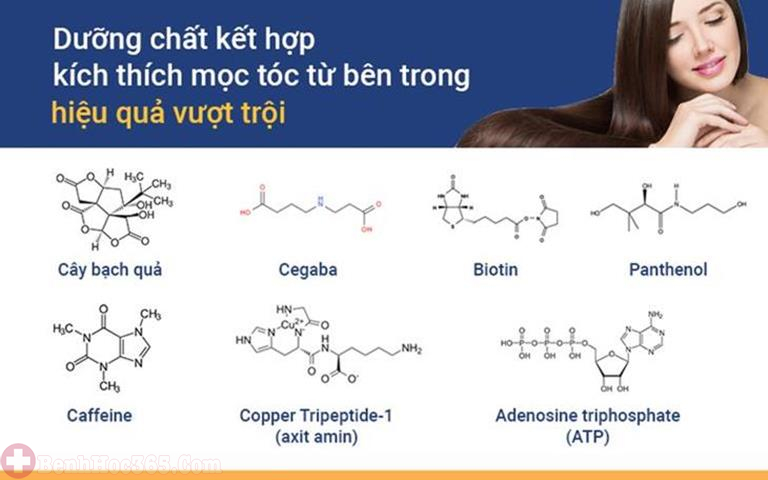 Các dưỡng chất đưa vào cho hiệu quả điều trị vượt trội