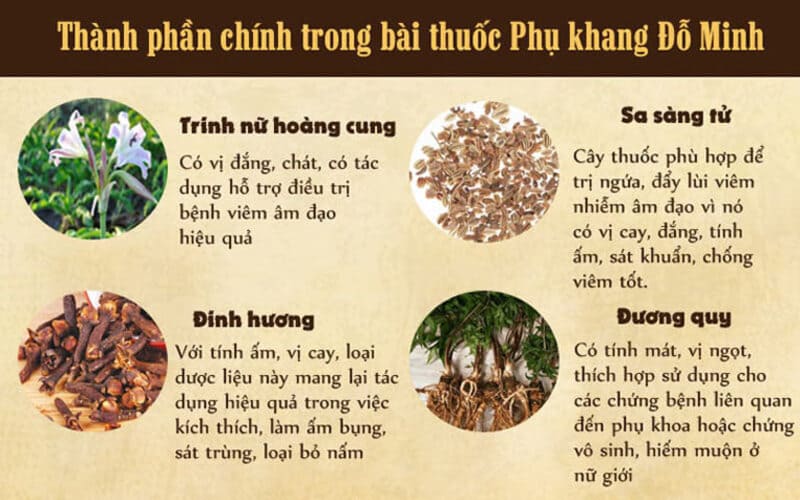 Thành phần thảo dược HỮU CƠ có mặt trong bài thuốc Phụ Khang Đỗ Minh