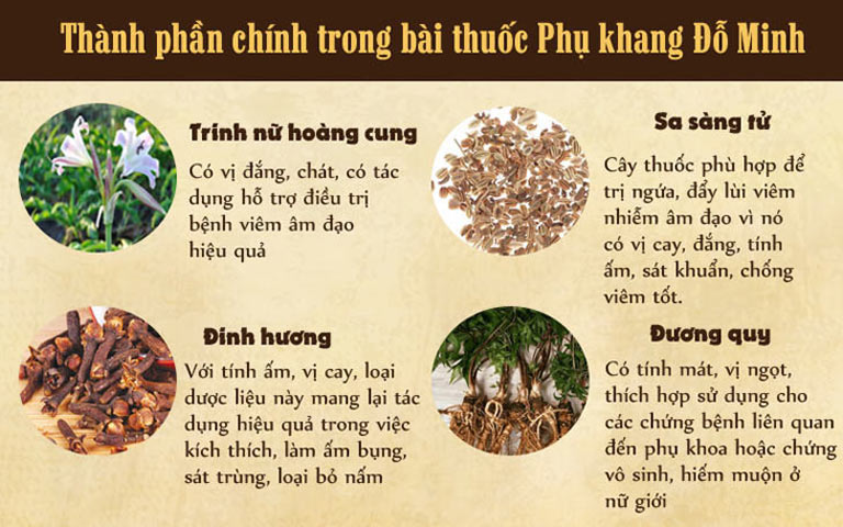 Một số thành phần không thể thiếu trong bài thuốc Phụ Khang Đỗ Minh