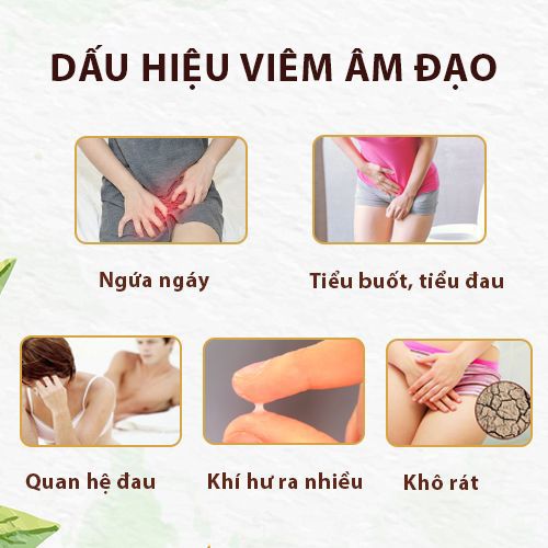 Dấu hiệu bệnh viêm âm đạo