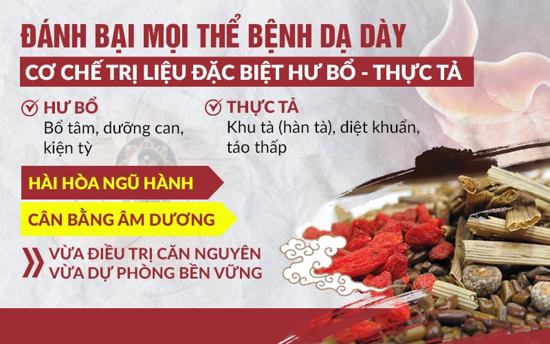 Nhất Nam Bình Vị Khang mang đến hiệu quả điều trị toàn diện