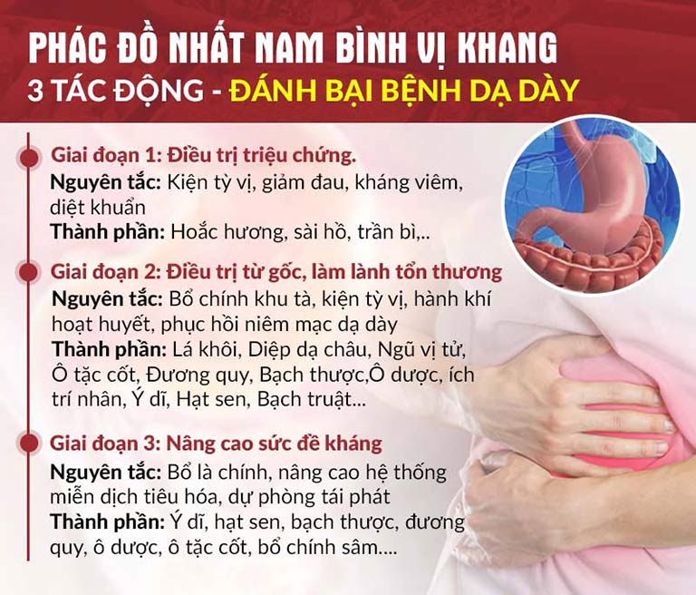 Phác đồ ba tác động của bài thuốc Nhất Nam Bình Vị Khang trị bệnh dạ dày